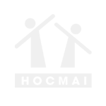 HOCMAI Education